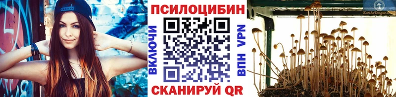 кракен как войти  Подпорожье  Псилоцибиновые грибы мицелий 
