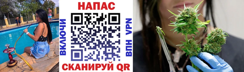 где можно купить   Подпорожье  Марихуана гибрид 